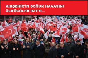 college homework helper