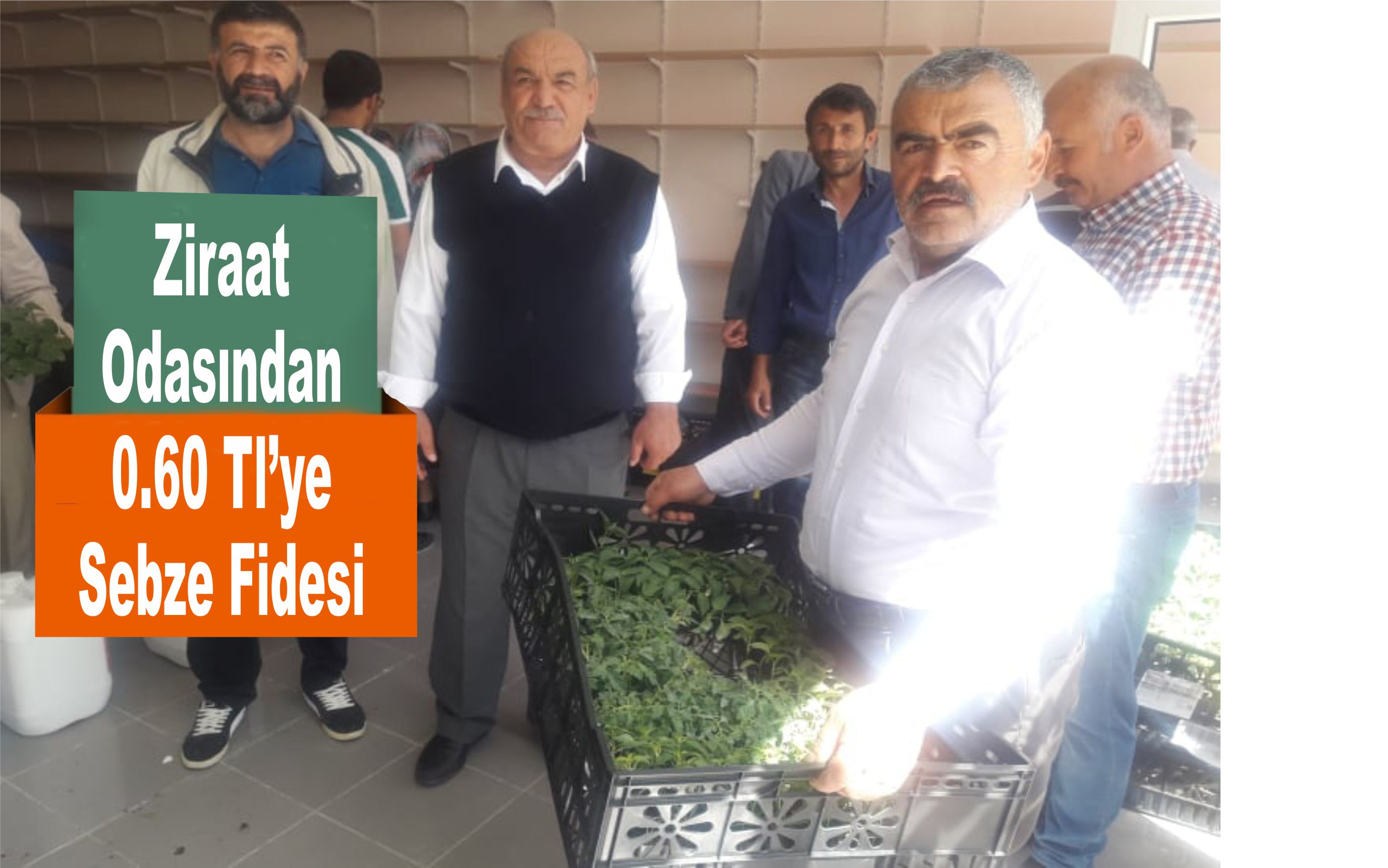 Ucuz Fideye Büyük İlgi…